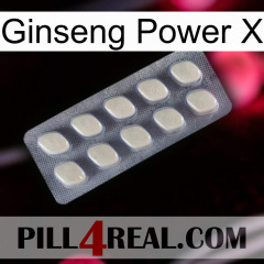 Ginseng Power X 08
